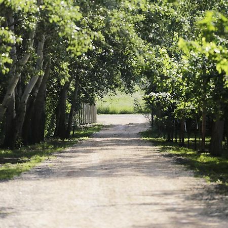 Antal-tavi Fogadó és Horgászparadicsom Szentes Esterno foto