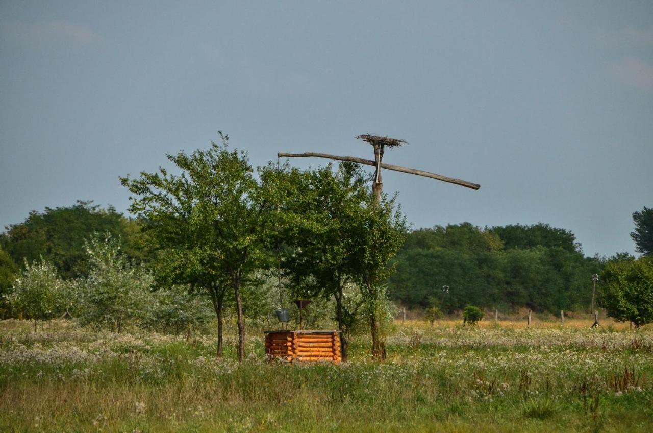 Antal-tavi Fogadó és Horgászparadicsom Szentes Esterno foto