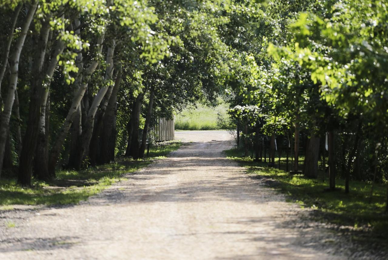 Antal-tavi Fogadó és Horgászparadicsom Szentes Esterno foto